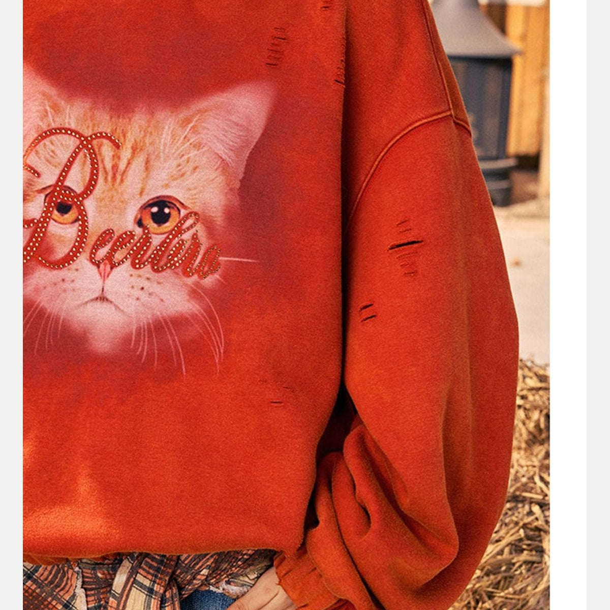 Beer Bro Distressed Cat Graphic Hoodie in Orange - On Model