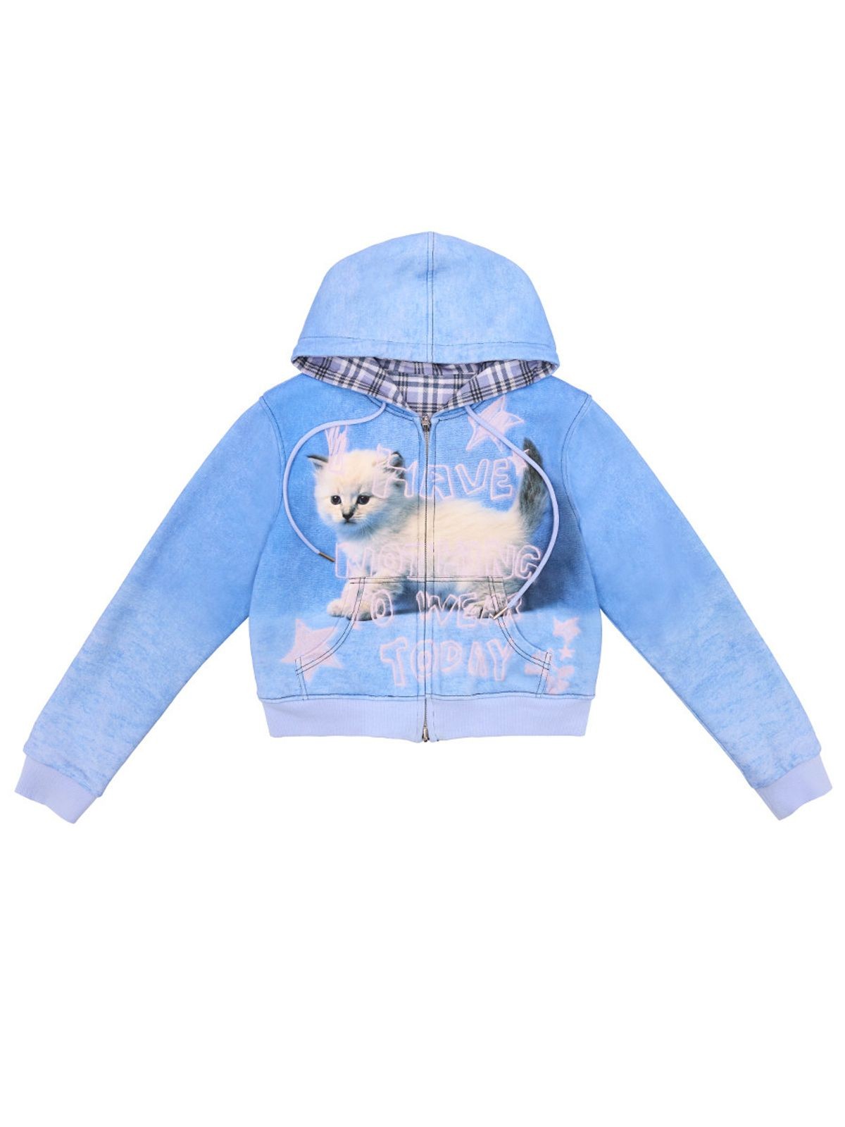 CFIERCE Reversible Cat Graphic Hoodie in Blue