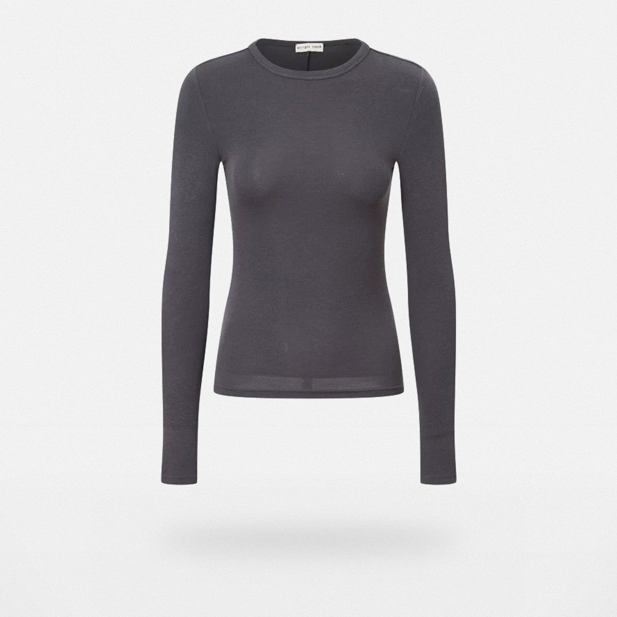 Alright Then Fitted Long Sleeve Crew Neck in Gray