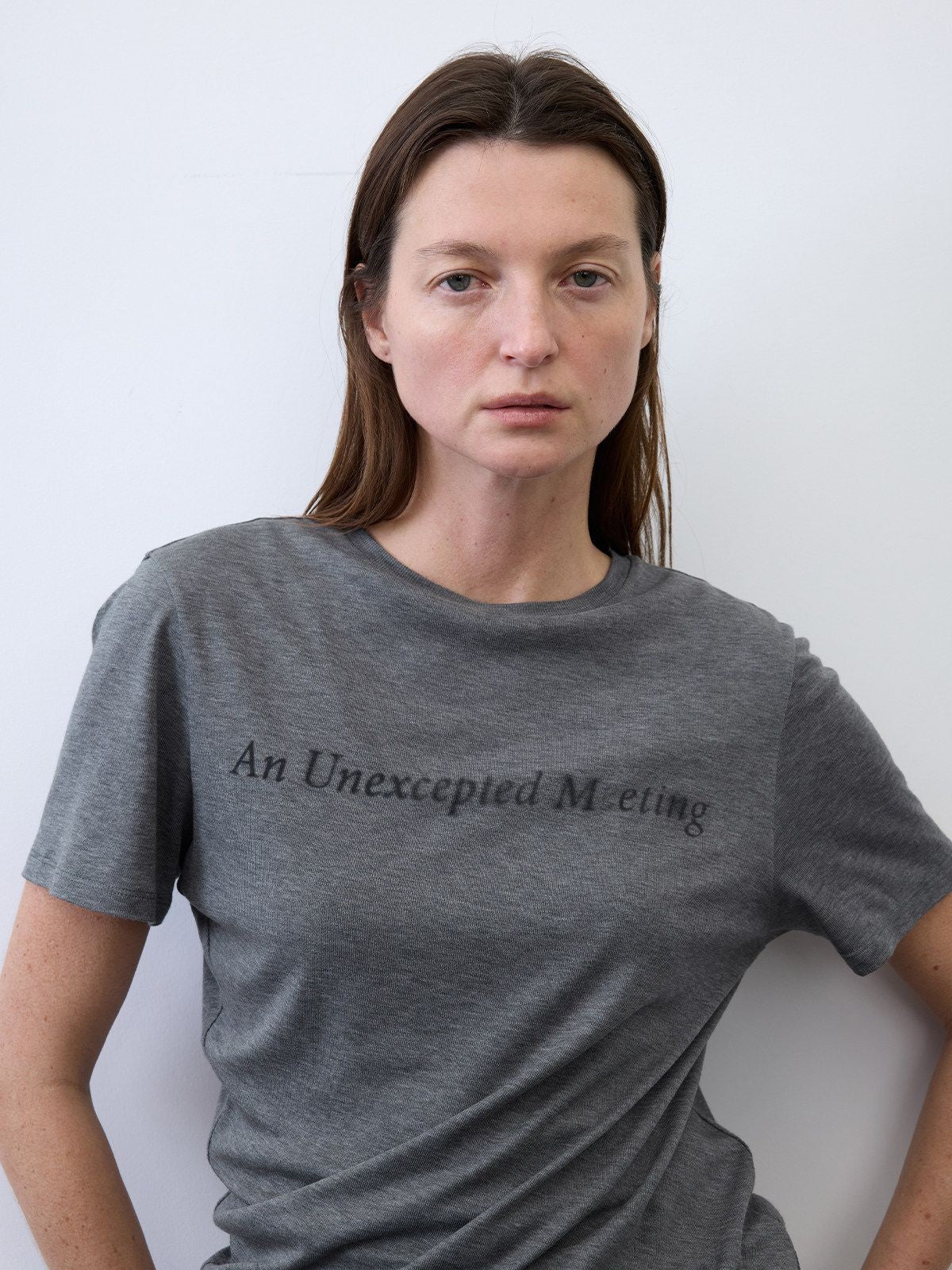 RandomPiece Silk Blend Graphic T Shirt in Gray - On Model