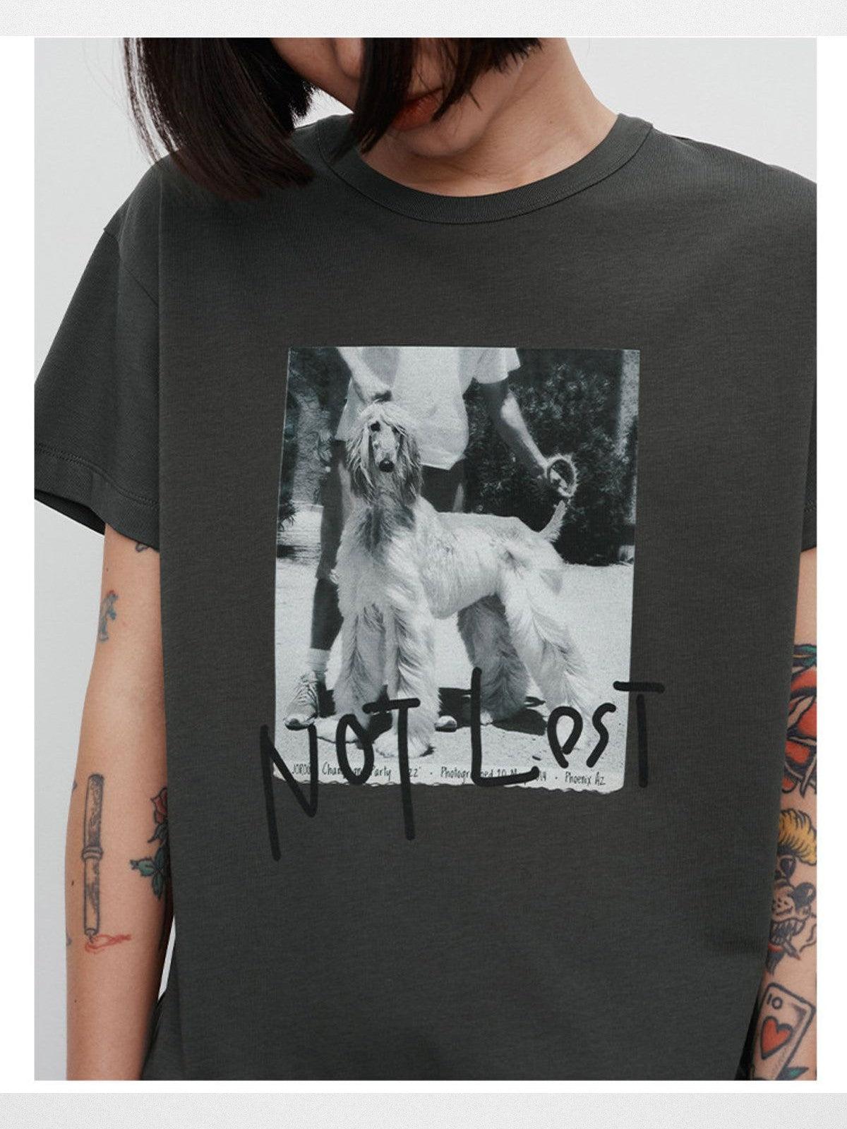 RandomPiece Dog Graphic Print T Shirt in Olive - On Model