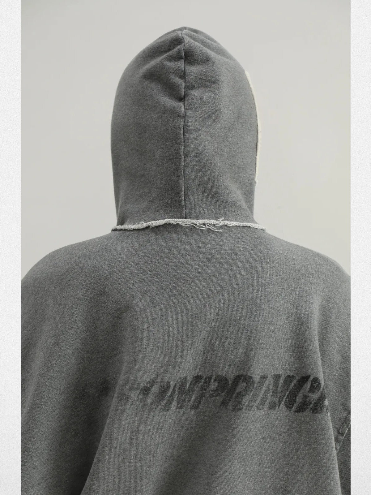 MASONPRINCE Heavyweight Graffiti Zip Hoodie in Gray - On Model