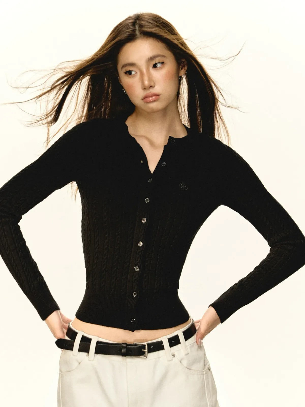 ARISEISM Slim Cable Knit Cardigan in Black