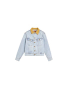 alright then Corduroy Collar Denim Jacket in Blue
