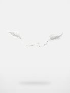 CFIERCE Angel Wings Eyelet Choker in White
