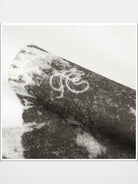 FaxCopyExpress Elephant Print Cotton Modal Tee in White - Detail