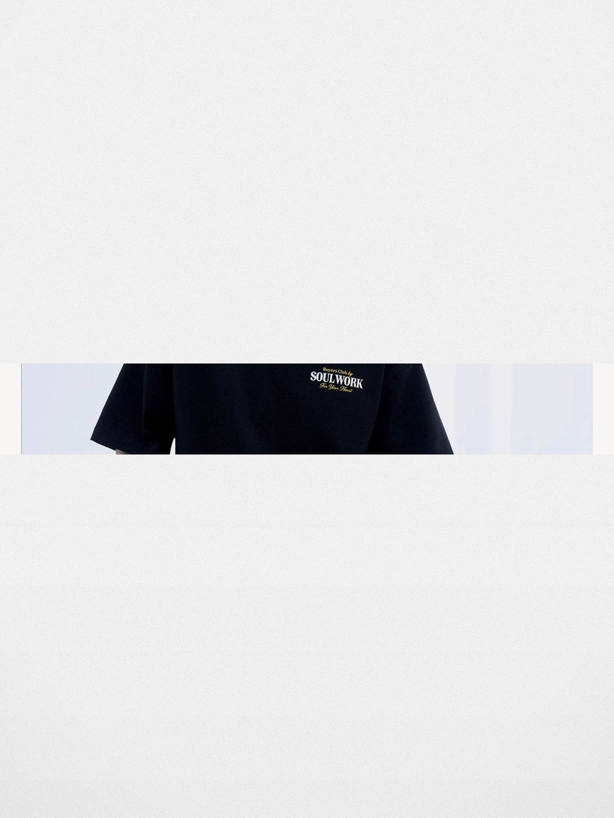 SWFI Heavyweight Cotton Logo T Shirt in Black - On Model