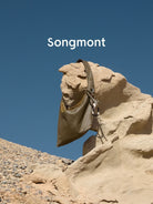 Songmont Broken Shell Leather Crossbody Hobo in Olive - Lifestyle